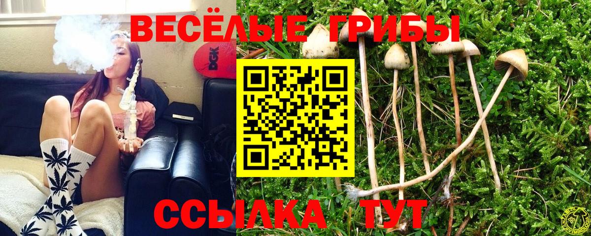 Псилоцибиновые грибы ЛСД  Вход с VPN  Галлюциногенные грибы MAGIC MUSHROOMS  цены   Апатиты 